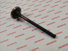 Soupape d'echappement GL1200 GOLDWING 1984/87 HONDA 14721-MG9-405