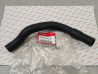 durite B sur pompe à eau CBR650 F 2014/2016 neuve ORIGINE HONDA 19526-MJE-D00