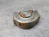 Godet métallique pignon avant distribution NOS CB125K5 HONDA 14594-351-000 NOS