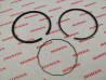 Segment cote standard NH80 MSN 92 NH80 MSP 93 NH80 MSR 94 HONDA 13011-GC8-005