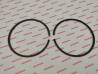 Segment cote std CR500 R 1990/01 HONDA 131A2-ML3-680 130A1-KA5770 13011-ML3-305