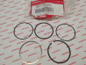 Segments cote standard HONDA SCV100 LEAD 2003HONDA 13011-KPL-900
