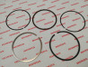 Segments cote standard HONDA SCV100 LEAD 2003HONDA 13011-KPL-900