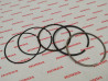 Segments cote standard HONDA SCV100 LEAD 2003HONDA 13011-KPL-900