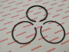 Segment cote 050 pour C70Z2 1977 CT70 1976/81 XL70 1976 ST70 idem référenc