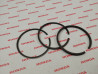 Segment cote 050 pour C70Z2 1977 CT70 1976/81 XL70 1976 ST70 idem référenc