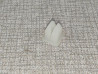 Écrou nylon optique phare Honda XL600V 33145-657-671