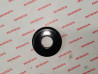 Cache Poussière Bras Oscillant Honda 52144-KR8-005
