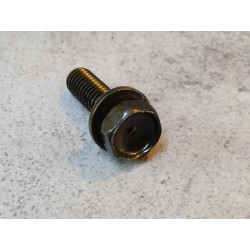 Vis à tête hexagonale + rondelle 6x20 HONDA 93401-0602007