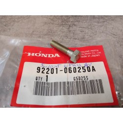 Vis 6x25 mm HONDA  92201-060250A