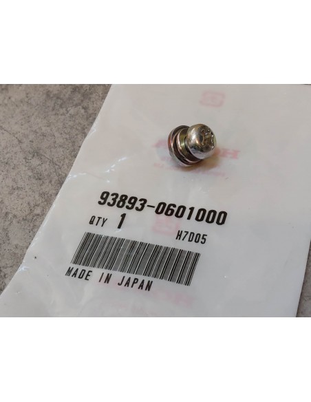 Vis 6x10 avec rondelles HONDA 93893-0601000
