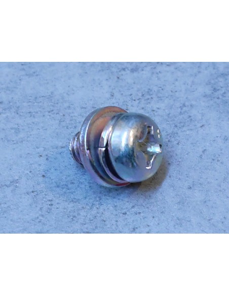 Vis 6x10 avec rondelles HONDA 93893-0601000