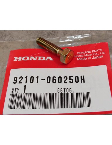 Vis à tête hexagonale 6x25 mm HONDA 92101-060250H
