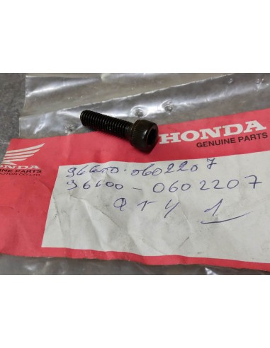 Vis à clé Allen 6x22 HONDA 96600-0602207