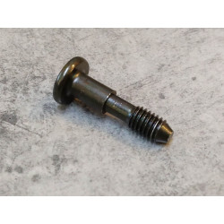 Vis de cache latéral CA125 Rebel 95/99 CMX250 Rebel 96/99 HONDA 83550-KR3-870