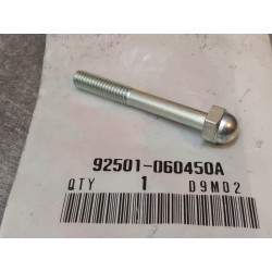 Vis à tete hexagonale bombée 6x45 mm HONDA 92501-060450A