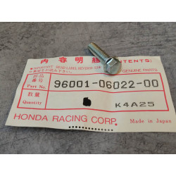 Vis à tête hexagonale épaulée 6x22 mm HONDA 96001-06022-00