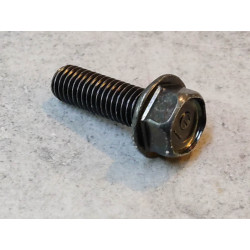 Vis à tête hexagonale 8x25 mm HONDA 95701-0802507