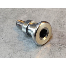 Vis pivot selection HONDA 06240-MKR-306