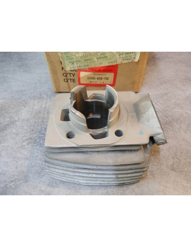 Cylindre de PK50 90 code AA plus livrable Honda idem 121102GT8750 (code B)
