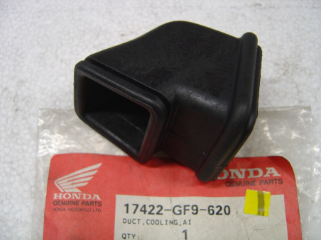 Élément boîte à air Honda MTX50AE AH – Réf. 17422GF9620