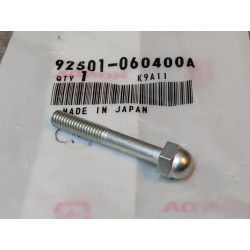 Boulon hexagone bouchon 6X40 mm HONDA 92501-060400A