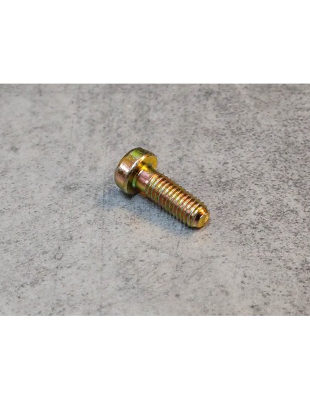 Vis carburateur HONDA 16081-GCG-930