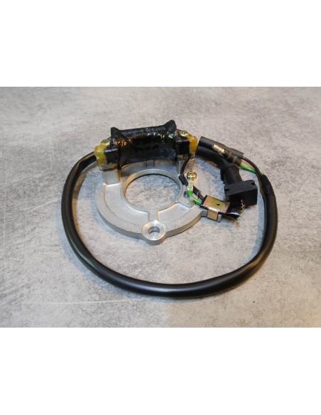 Stator de CR80 R/RB 1996-2002 CR85 R/RB 2003-2004 HONDA 31120-GBF-831