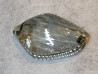 Cabochon de clignotant avant gauche NC700 CB500 HONDA 33454-MGS-D31