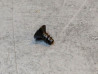 Vis auto-tarodeuse 4x8 mm HONDA 93902-34180