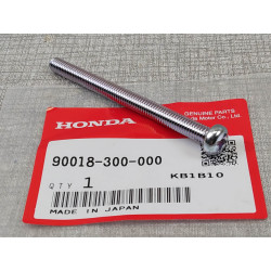 Vis 6x75 HONDA 90018-300-000