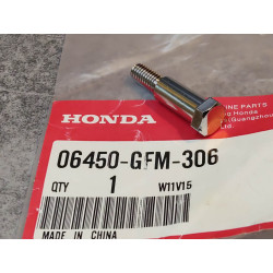 Vis tige levier HONDA 06450-GFM-306