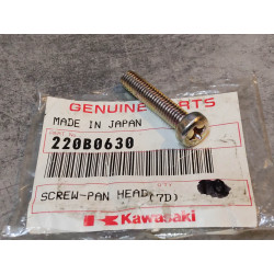 Vis cruciforme à tête bombée 6x30 mm KAWASAKI 220B0630