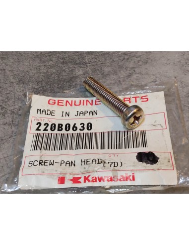 Vis cruciforme à tête bombée 6x30 mm KAWASAKI 220B0630