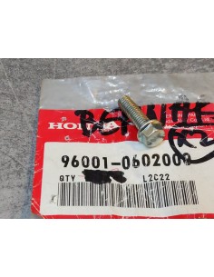 Boulon de bride 6x20 mm HONDA 96001-0602000