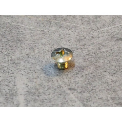 Vis cruciforme 4x6 mm HONDA 93700-040060A
