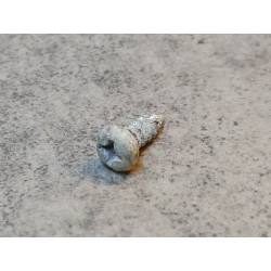 Vis cruciforme 3 mm P50 P25 HONDA 90131-044-000