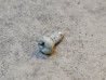Vis cruciforme 3 mm P50 P25 HONDA 90131-044-000