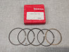 Segment cote +0.75mm ST70C 1982/89 DAX HONDA 13041-126-751