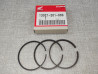 Segment cote +0.25mmr C95 Benly T360 ct200 HONDA 13021-201-000  13021-030-000