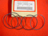 Jeu Segments Riken +1.00mm Honda AFS110 NSC110 CRF110