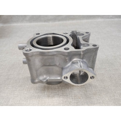 Cylindre PCX125 WW125EX 2010  neuf HONDA 12100-KWN-900