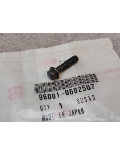 Boulon bride 6x25 mm HONDA 96001-0602507