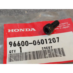 Boulon douille 6x12 mm HONDA 96600-0601207