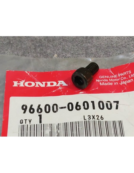 Boulon douille 6x10 mm HONDA 96600-0601007