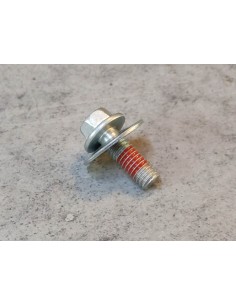 Boulon spécial 6 mm + rondelle VT750 HONDA 90004-MBA-660