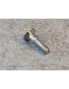 Vis tète cruciforme large chromée 6X25 mm HONDA 90101-463-770