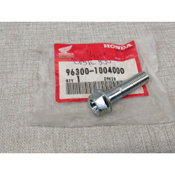 Vis tête hexagonale 10x40 HONDA 96300-1004000