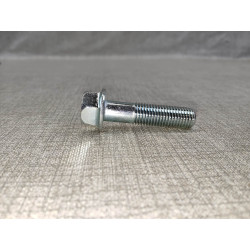 Vis tête hexagonale 10x40 HONDA 96300-1004000