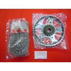 Kit Chaîne Honda CBR600 87-90 15x43 110 maillons